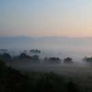 Golden Triangle Nebel klein.jpg