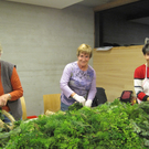 IMG_1407_JPG-1321951136