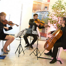 104_20111121_t_preview.jpg
