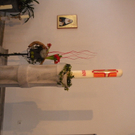 DSCN7572.JPG