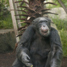 DI30088-20111122.jpg