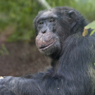 DI30087-20111122.jpg