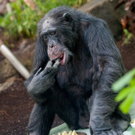 ABD0051-20111122.jpg