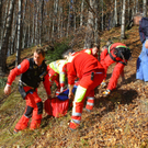 Arbeitsunfall Viktorsberg07.jpg