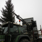 Marktplatz präsentiert sich vorweihnachtlich