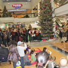 ZiB_Advent_5.jpg