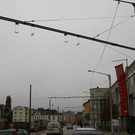 normal_23112011fmt_o-busleitung_mw_03.JPG