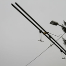 normal_23112011fmt_o-busleitung_mw_11.JPG