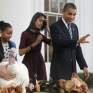 Obama begnadigte zu Thanksgiving zwei Truthähne