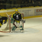 PB220066_JPG-1322077452