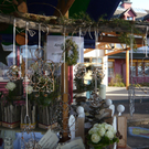 P1130169.JPG