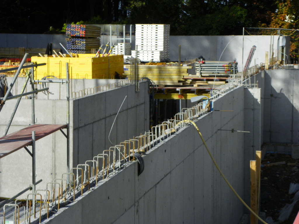 113_0100_JPG-1322096961