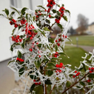 normal_23112011naturschauspielspaktivnews_002.jpg
