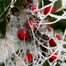 normal_23112011naturschauspielspaktivnews_004.jpg