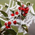 normal_23112011naturschauspielspaktivnews_005.jpg