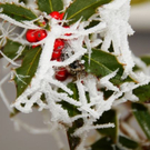normal_23112011naturschauspielspaktivnews_006.jpg