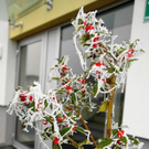 normal_23112011naturschauspielspaktivnews_007.jpg