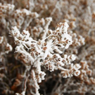 normal_23112011naturschauspielspaktivnews_010.jpg