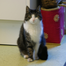 DSC02714.JPG