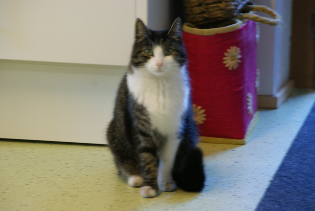 DSC02714.JPG
