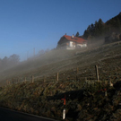 normal_24112011fmt_wetter_fm_03.jpg