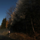 normal_24112011fmt_wetter_fm_11.jpg