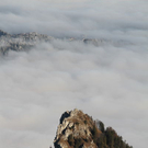 normal_24112011fmt_wetter_fm_14.jpg