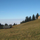IMG_5751.jpg