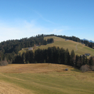 IMG_5777.JPG