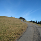 IMG_5783.JPG