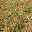 IMG_5799.JPG
