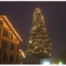 DSC03310.JPG