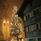 DSC03345.JPG