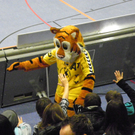 113_2135_JPG-1322176022