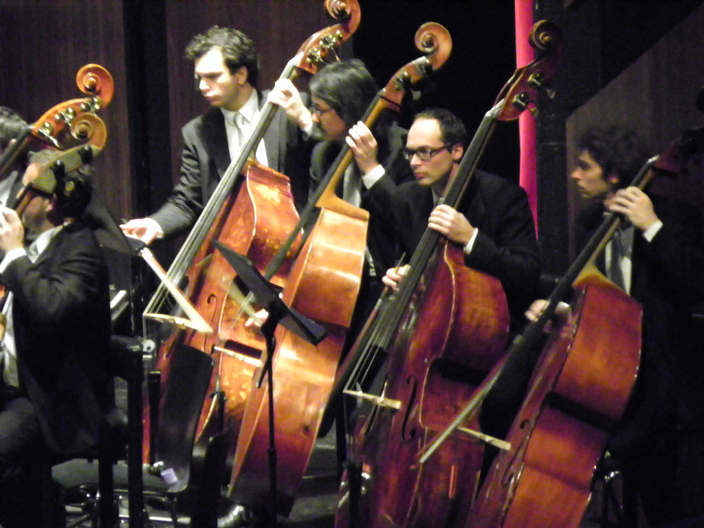 113_2324_JPG-1322177463