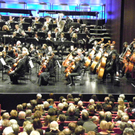 113_2317_JPG-1322177444