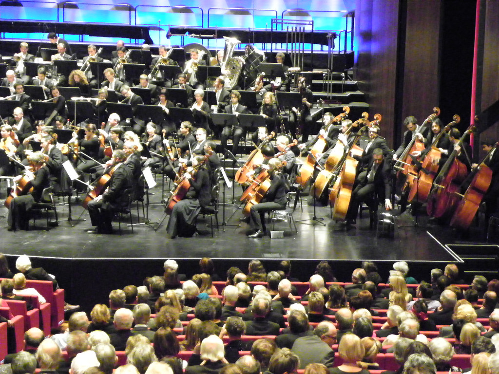 113_2317_JPG-1322177444