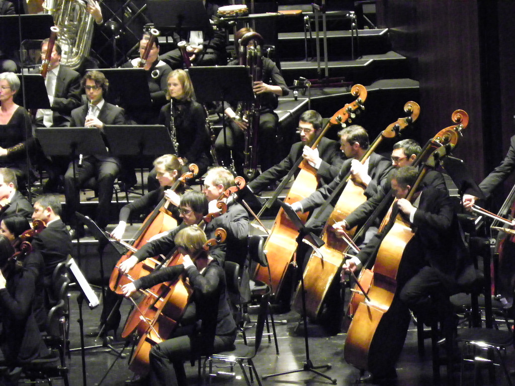 113_2323_JPG-1322177453