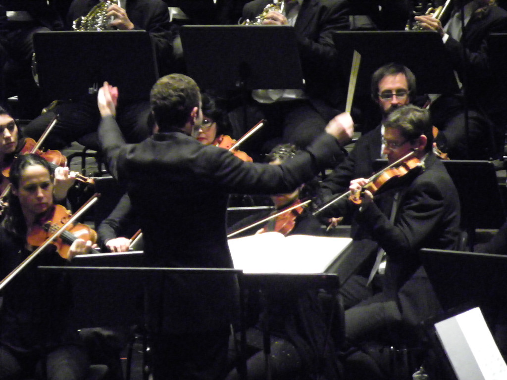 113_2325_JPG-1322177471