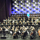 113_2356_JPG-1322177516