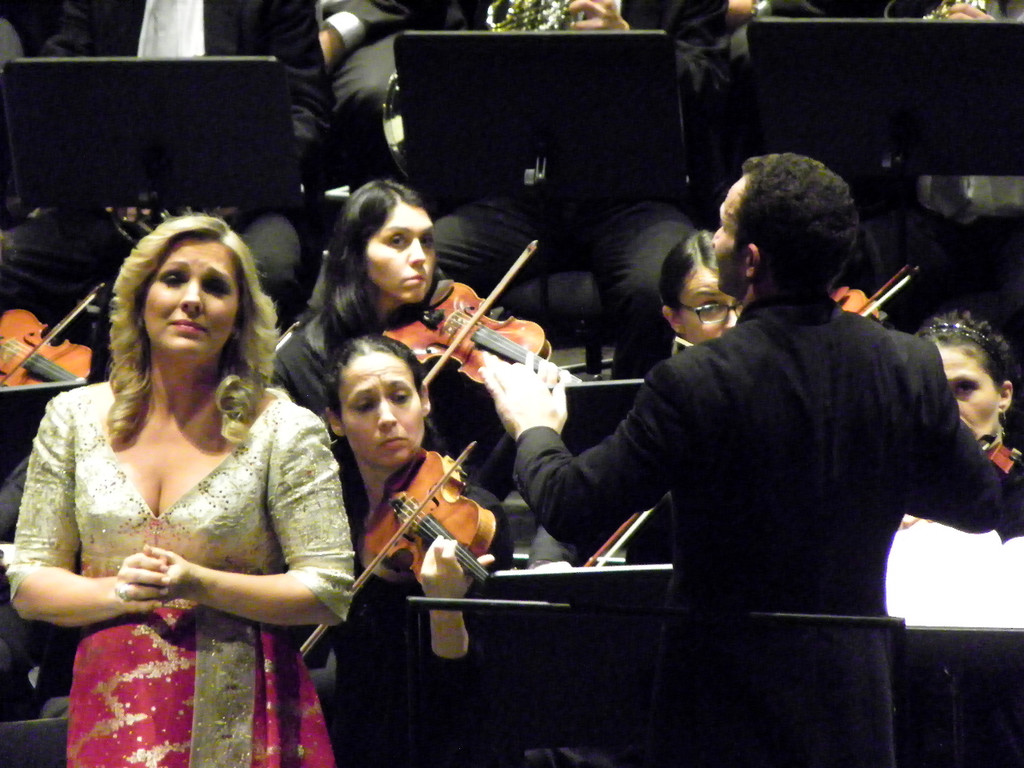 113_2369_JPG-1322177525