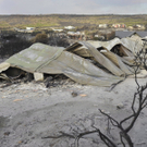 Australien: Buschbrände außer Kontrolle