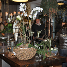 cornelia11_jpg-1322231424