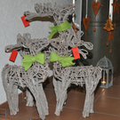 advent8_jpg-1322253956
