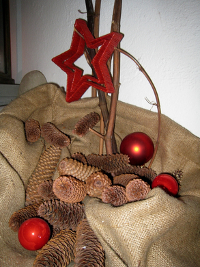 Schloss Hofener Advent 2009 _5_.jpg