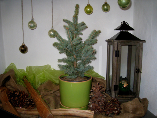 Schloss Hofener Advent 2009 _6_.jpg