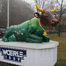 normal_25112011fmt_woerle_fm_15.jpg