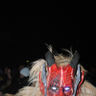 251111krampussfaktivnews120.JPG