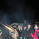 251111krampussfaktivnews040.JPG