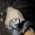 251111krampussfaktivnews071.JPG